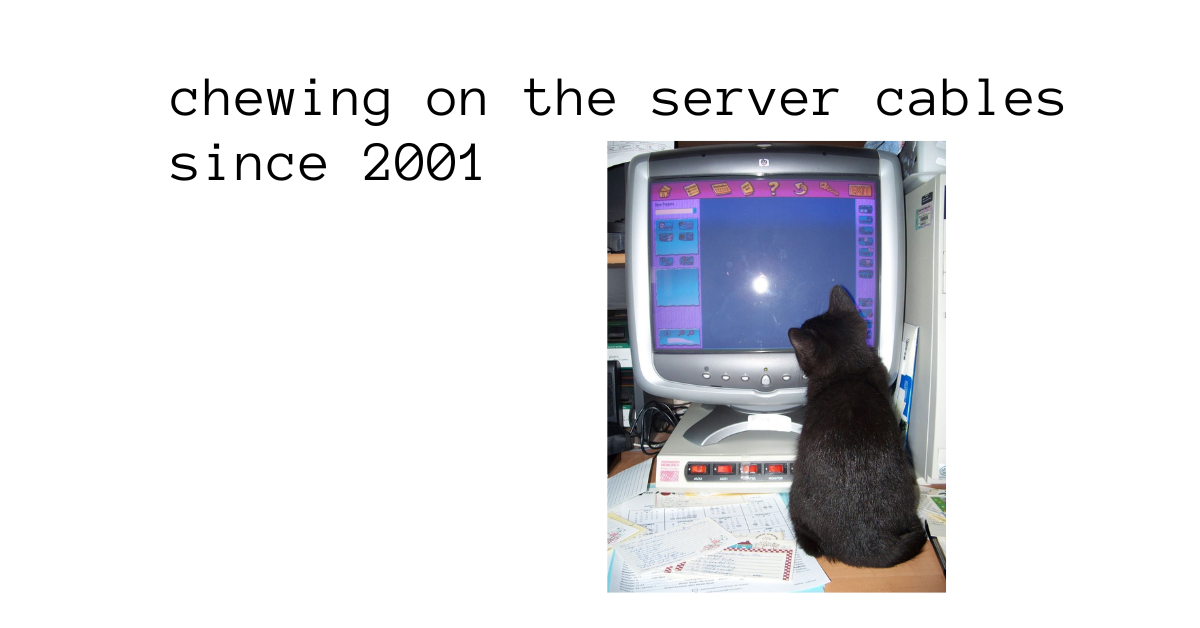A banner with black text that reads, Chewing on the server cables since 2001. Off to one side is a picture of a cat staring at a computer screen, as if it's using it.